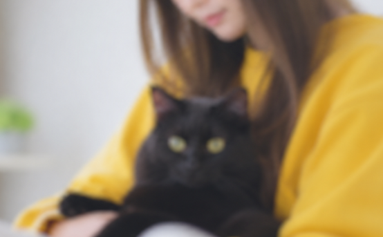 ぼやけた写真